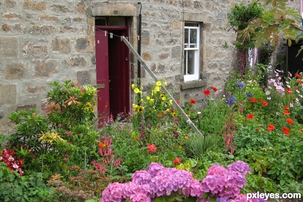 True Cottage Garden